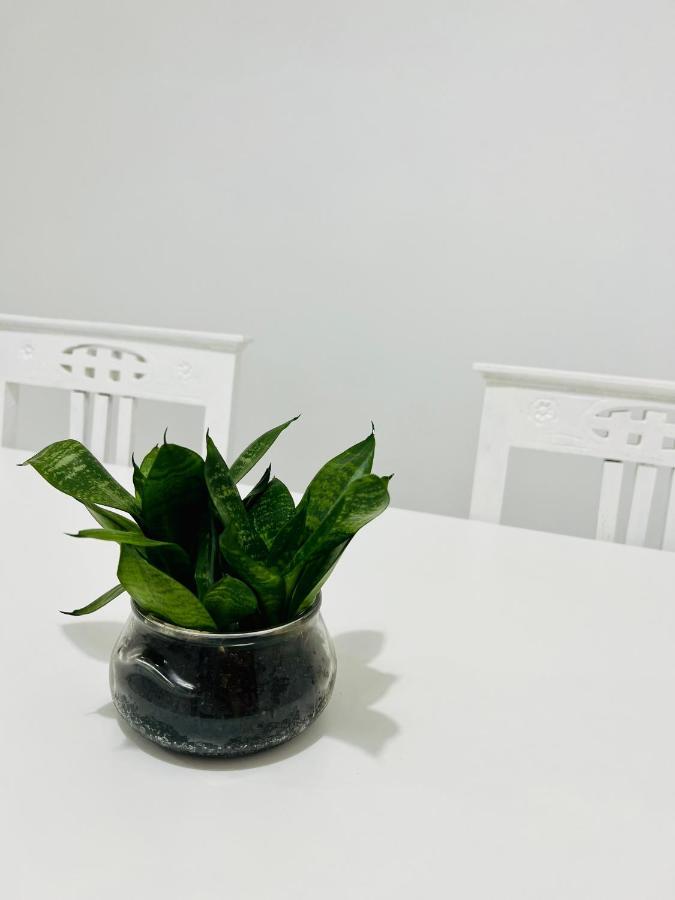 모우라 Casa Da Saluquia 빌라 외부 사진